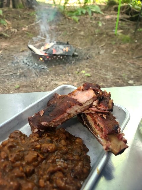 Two smoked pork ribs with dark bark and a pink smoke ring beside baked beans on a metal tray, a small wood fire smoking in the background